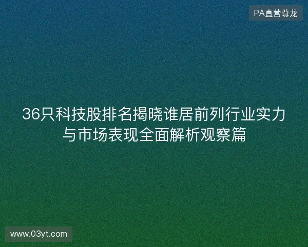 36只科技股排名揭晓谁居前列行业实力与市场表现全面解析观察篇